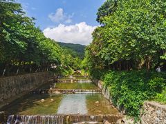 -广州白江湖森林公园