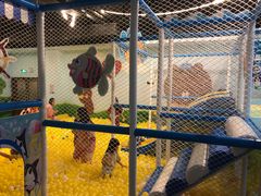 -蓝鲸湾汤泉(包河店)