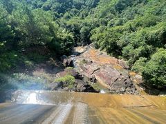 -广州白江湖森林公园