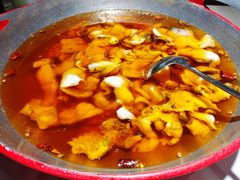 -雲蜀龙阁·金牌水煮鱼(方庄店)