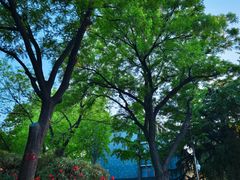 -山东大学(趵突泉校区)