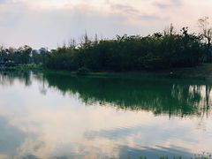 -三圣花乡旅游区