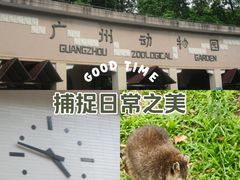 -广州动物园