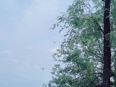 -西昌邛海湿地