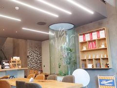 咖啡树-Infica Coffee