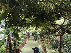 -呀路古热带植物园