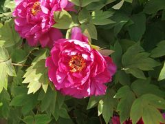 -元大都城垣遗址公园