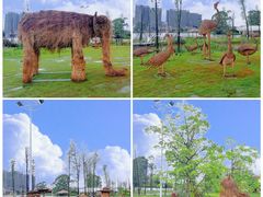-江门古劳水乡旅游区