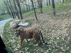 -北京野生动物园