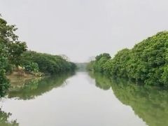 -大湾区中央湿地公园
