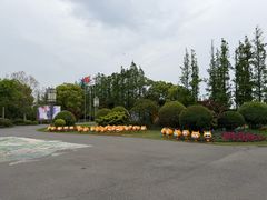 -上海长兴岛郊野公园