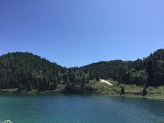 -武陵山森林公园