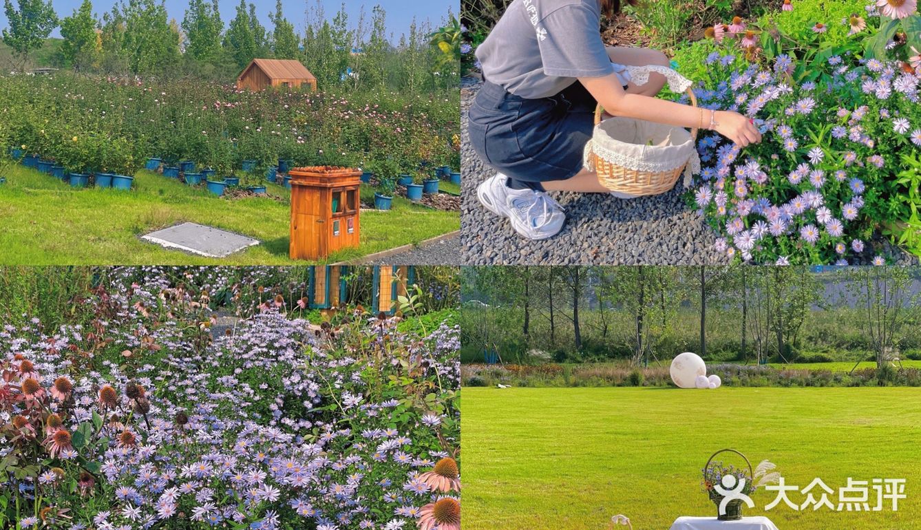 青岛周边游 | 青岛江南百景图 逃离城市喧嚣