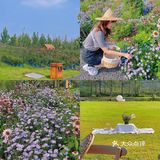 青岛周边游 | 青岛江南百景图 逃离城市喧嚣