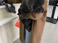 -宠颐生动物医院·小陆分院