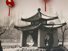 -冶春茶社(太和广场店)