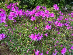 -崇圣寺三塔文化旅游区