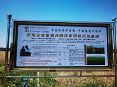 -光明小镇欢乐田园