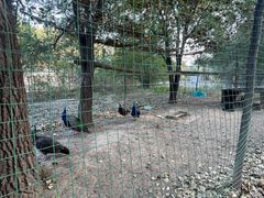 -林栖谷森林康养度假区
