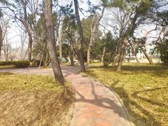 -八大关景区