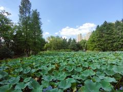 -白塘生态植物园