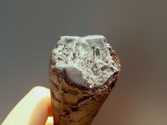 -全家便利店(杭州龙翔桥地铁站店)