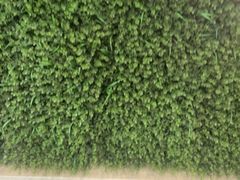 -嘉和一品粥(山水店)