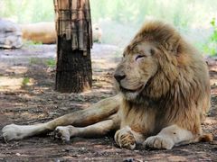 -北京野生动物园