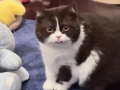 -牛天下·海鲜·牛肉·打边炉·融合菜