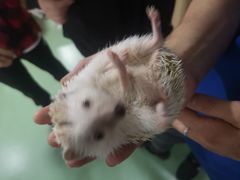-藦茜花园宠物主题亲子互动体验馆(国顺东路店)