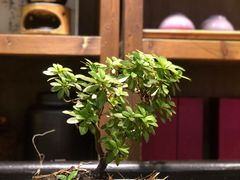 -菩提书坊(侨福大厦店)