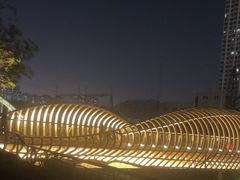 -福田红树林生态公园