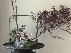 -乐领拈花溪·林涧食韵