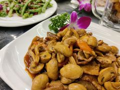 双菇牛肉片-品回味清真西北楼(宁波首店)