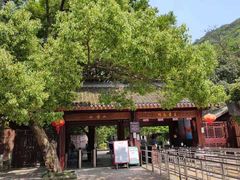 -四明山国家森林公园