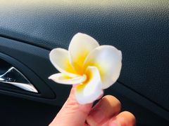 -小草糖水(海棠村店)