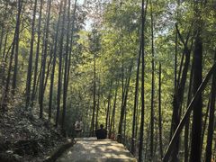 -石台牯牛降景区