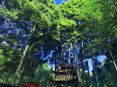 -青城山