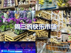 -中环花鸟鱼虫市场