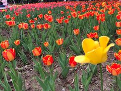 -长春公园(普阳街道)