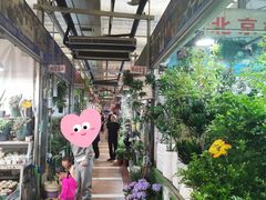 -朝来春花卉市场