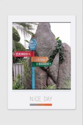 -恐龙探索乐园(磁器口店)