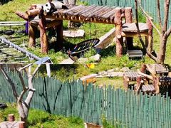 -沈阳森林动物园