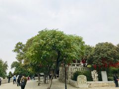 -云龙山