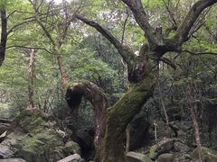 -浙北大峡谷