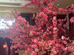 -東大方(安吉灵芝店)