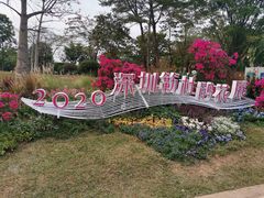 -莲花山公园