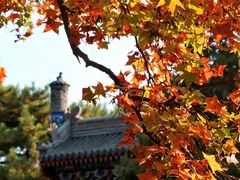 -香山公园