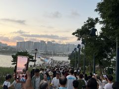 -小麦岛公园