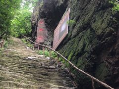 -天女山森林公园